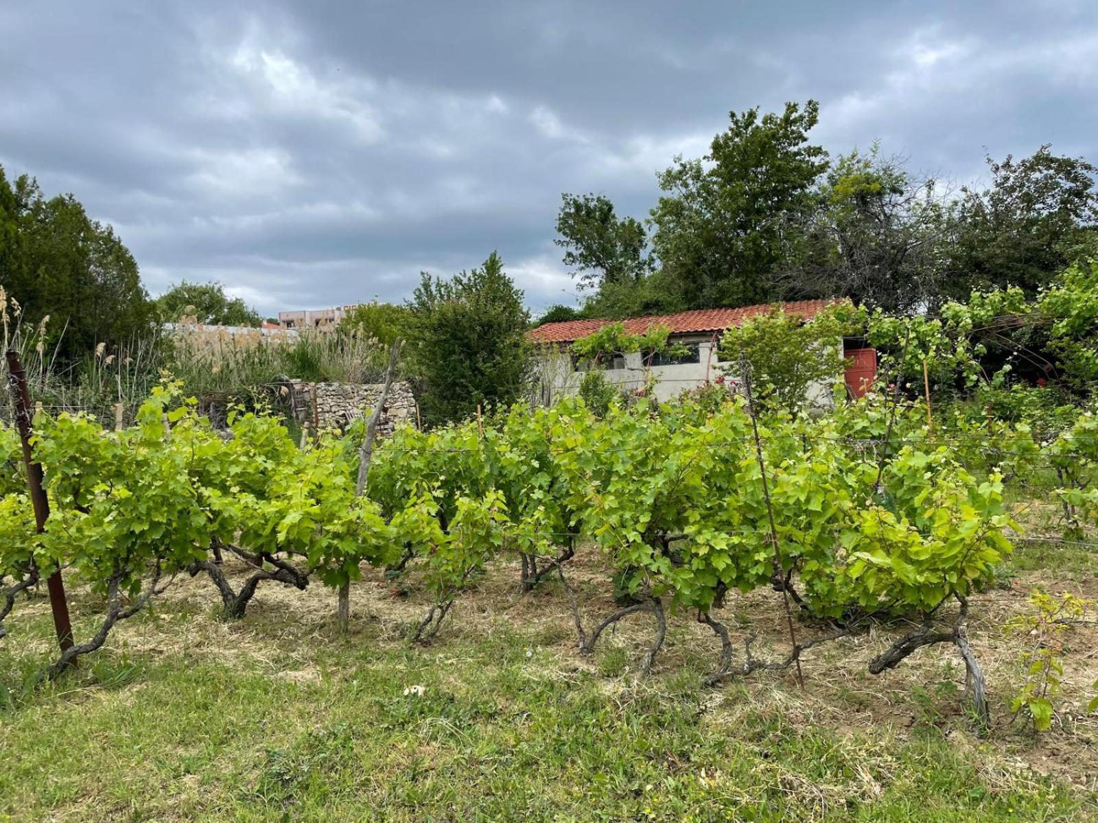 A Charming And Peaceful Summer 400m From The Sea *
