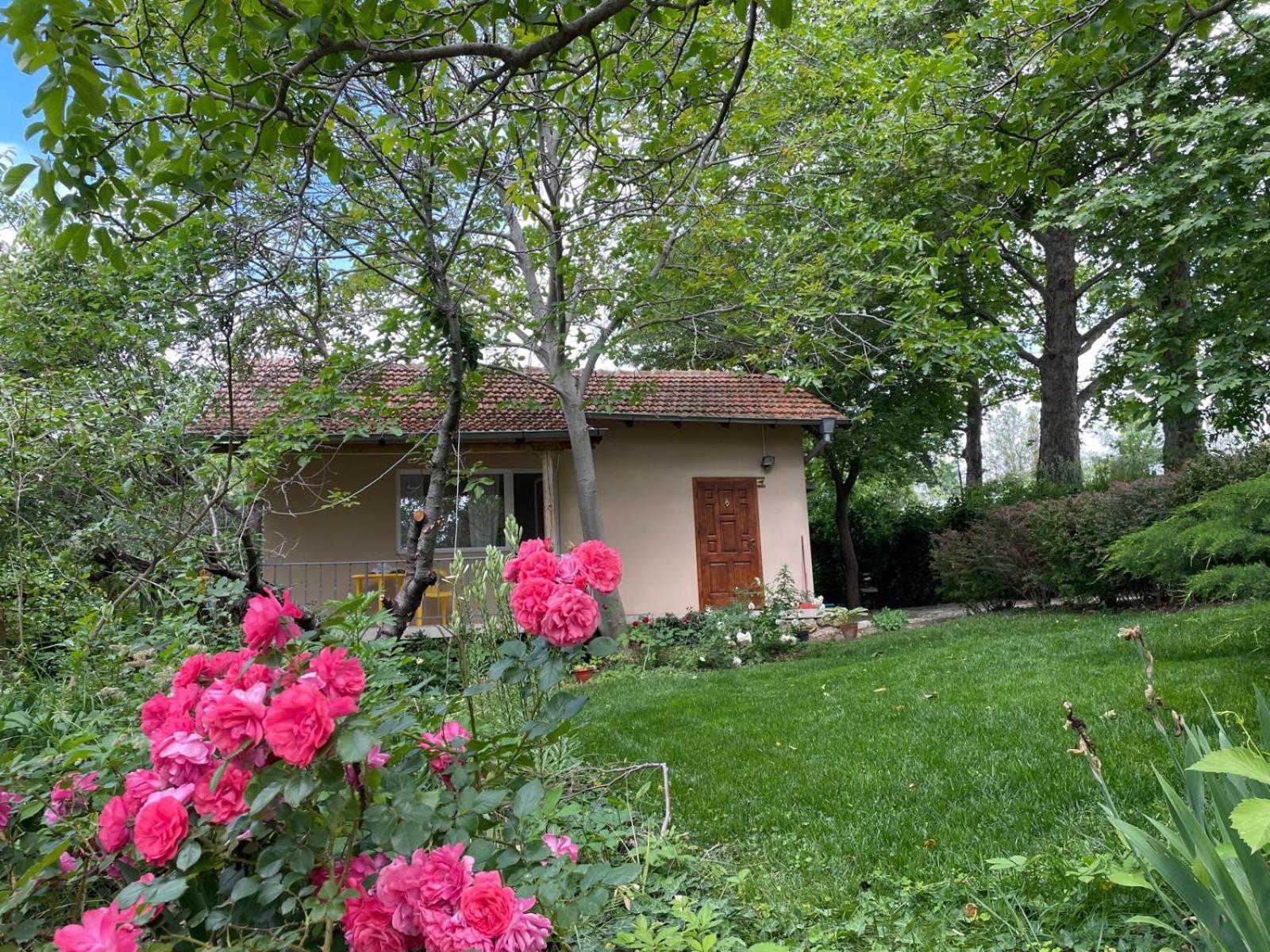 Casa vacanze A Charming And Peaceful Summer 400m From The Sea
