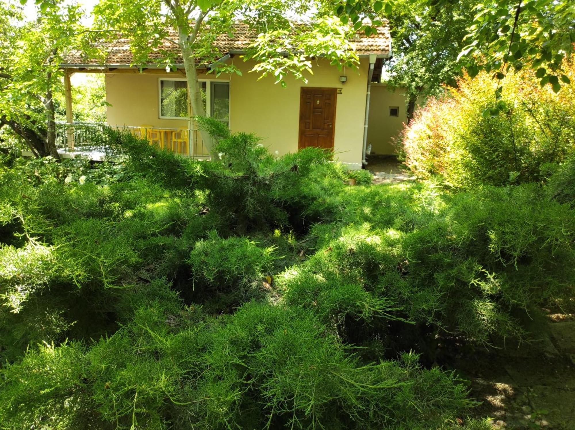 A Charming And Peaceful Summer 400m From The Sea Casa vacanze